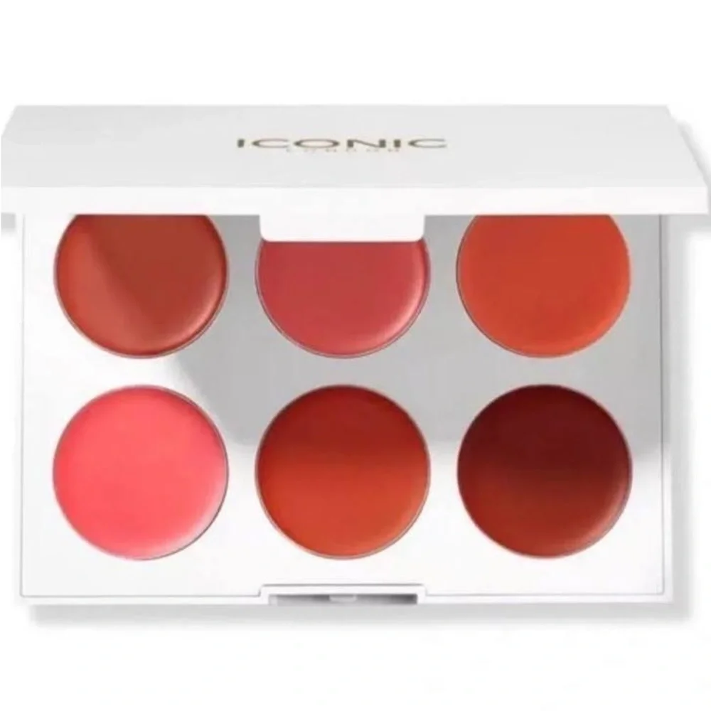 NIB ICONIC LONDON Multi-use Lip & Cheek palette